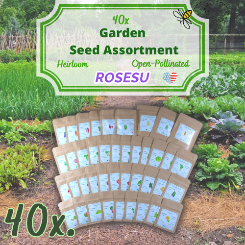 40x Garden Seed Assortment