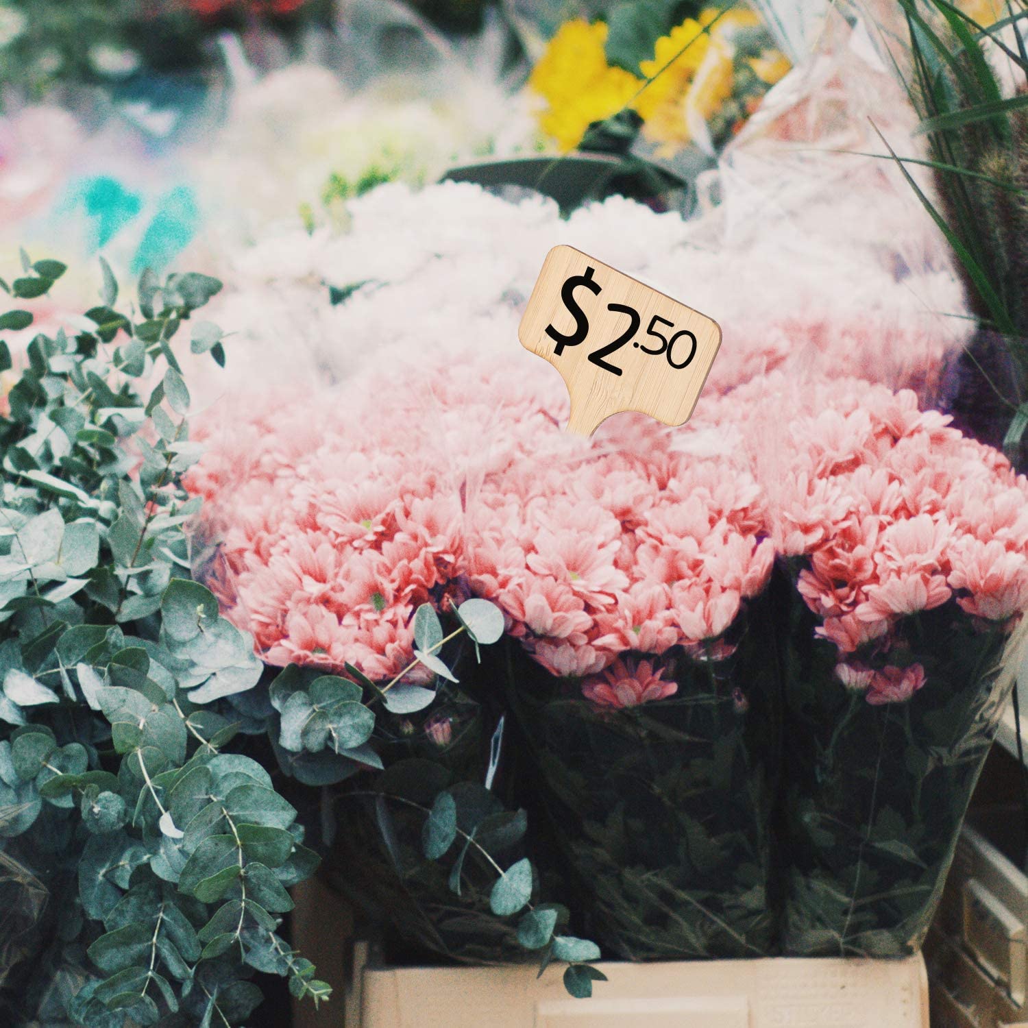 50 pack Plant Labels (6x10cm)