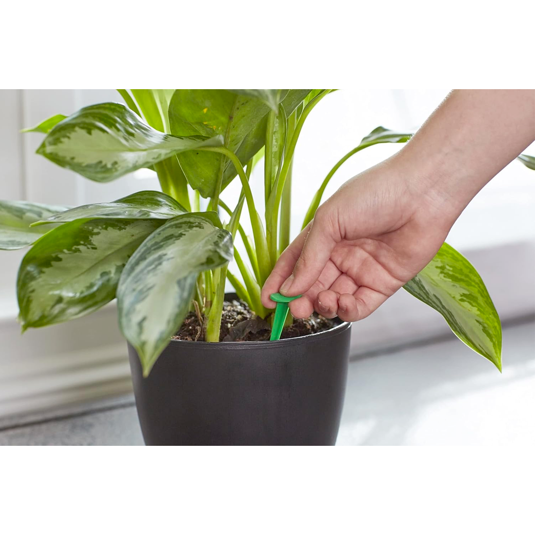 Miracle-Gro Indoor Plant Food Spikes NPK 6-12-6