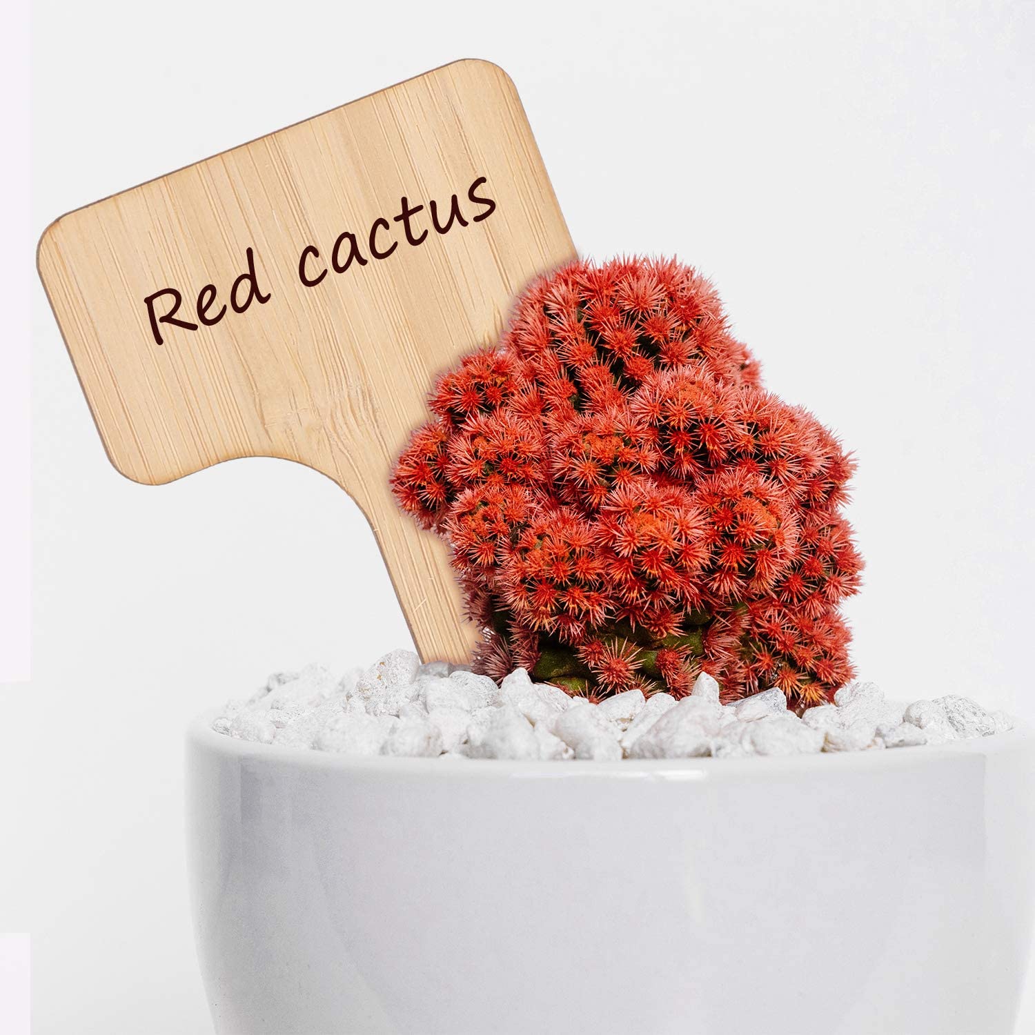 50 pack Plant Labels (6x10cm)