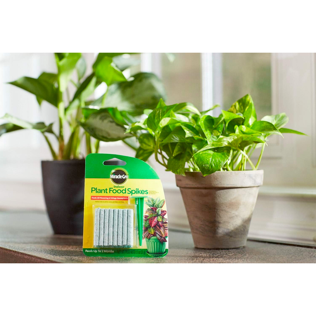 Miracle-Gro Indoor Plant Food Spikes NPK 6-12-6