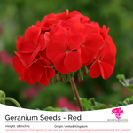 Geranium Seeds - Red