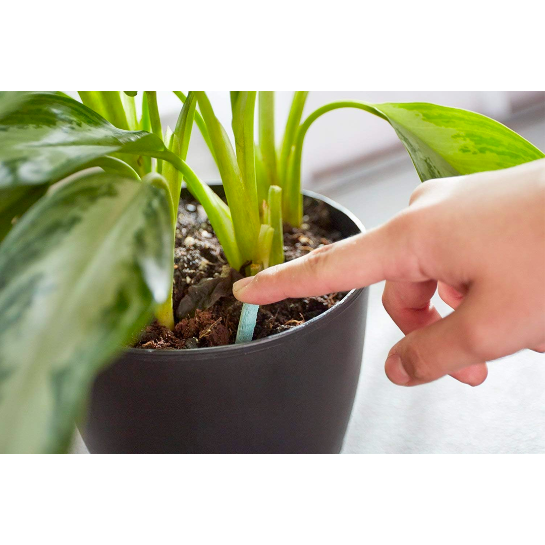Miracle-Gro Indoor Plant Food Spikes NPK 6-12-6