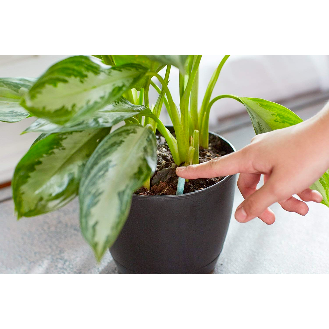 Miracle-Gro Indoor Plant Food Spikes NPK 6-12-6