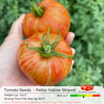 Tomato Seeds - Pattie Yellow Striped