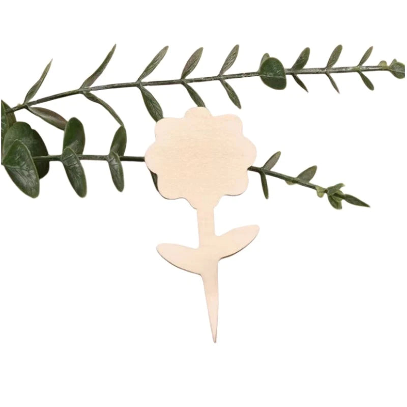 50 pack Plant Labels (6x10cm)