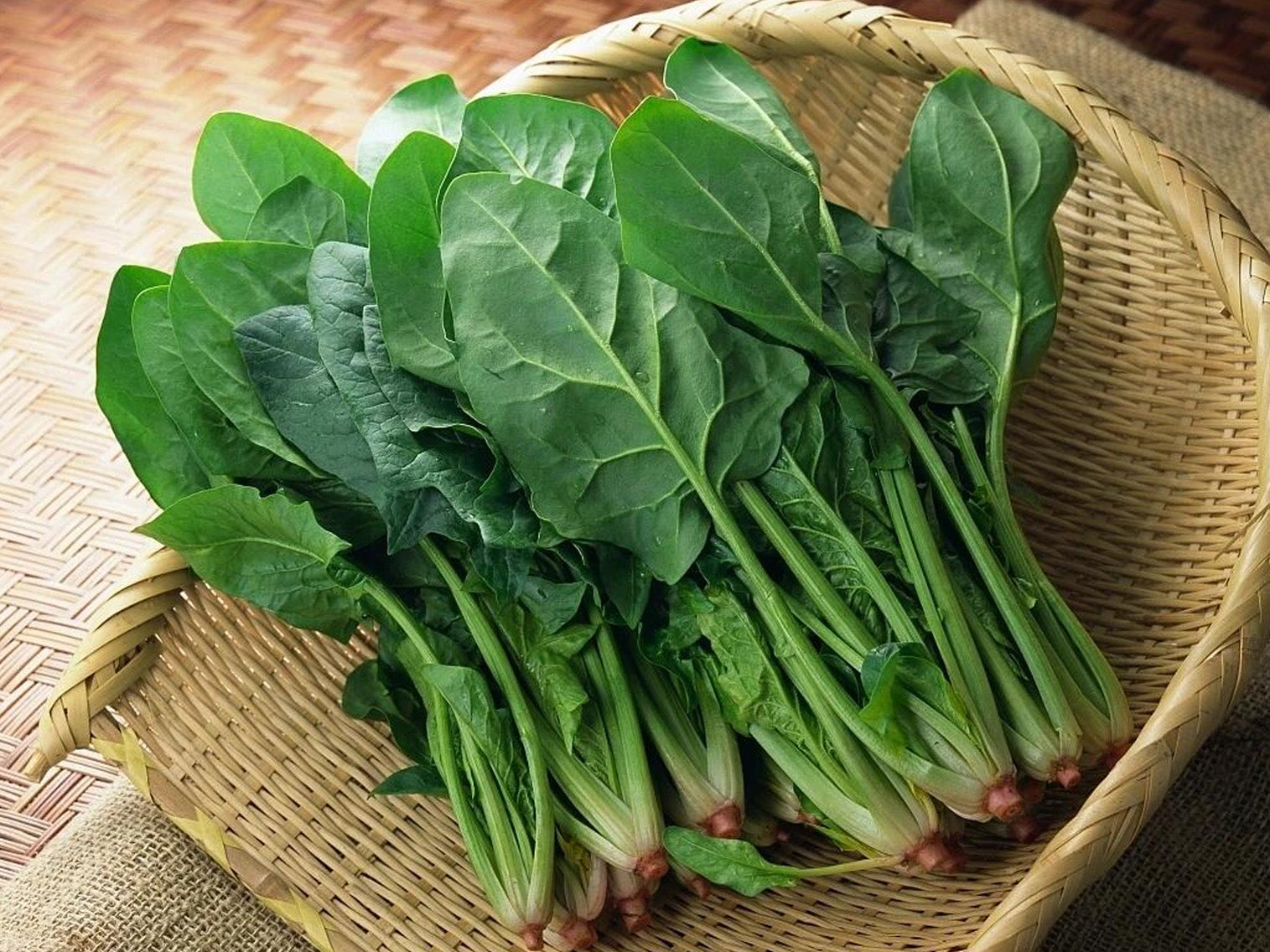 Spinach Planting Guide