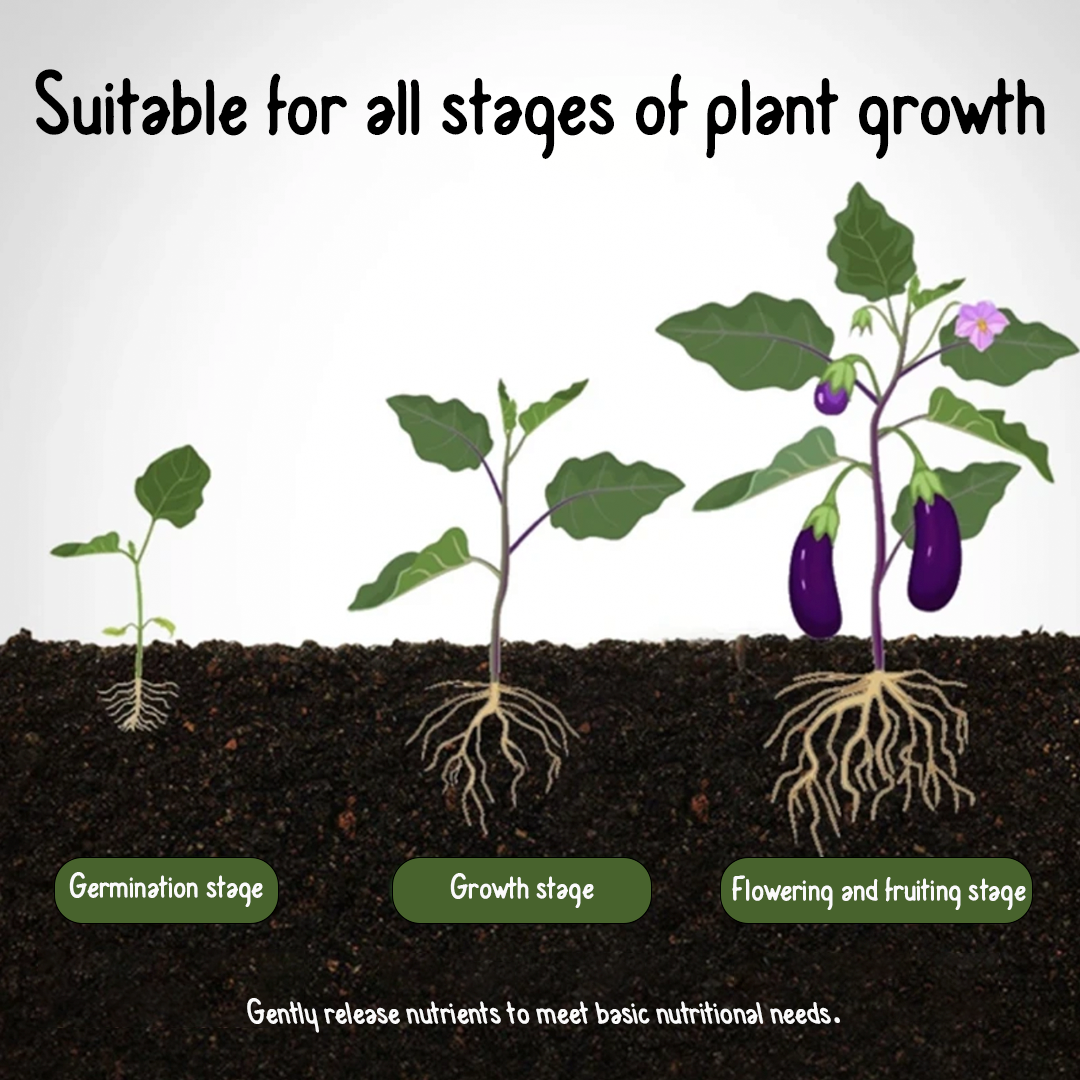 RSU Plant Food Spikes - Universal Type