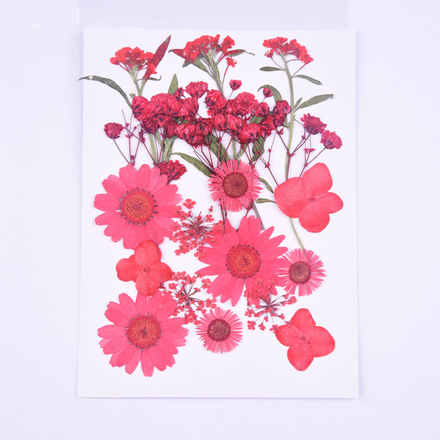 Mixed Embossed Dried Flower Material Package For Diy Mobile Phone Case/Photo Frame Decoration/Handmade Bookmark/Table Lamp