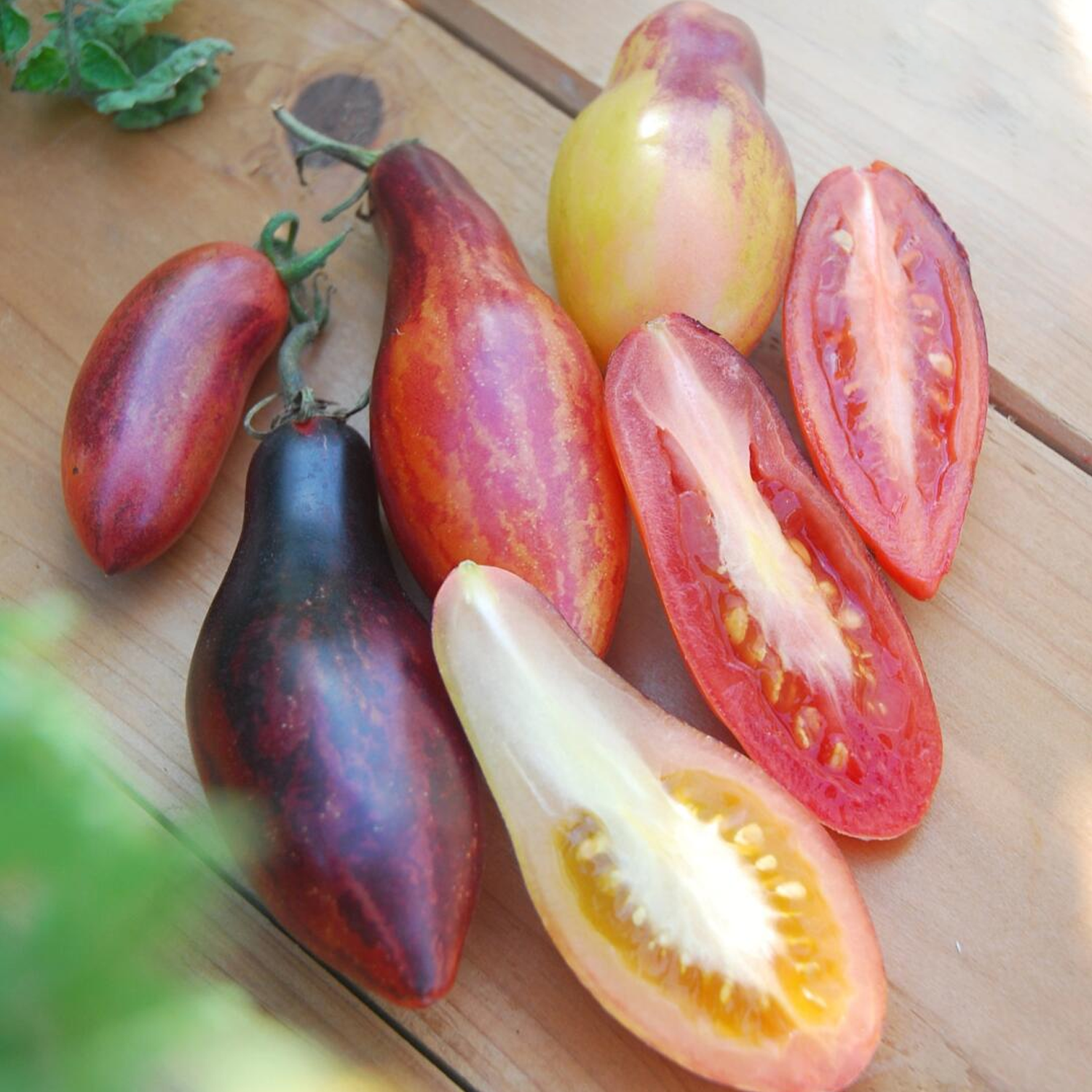 Dwarf Tomato Seeds - Dwarf Pink Leopard Tomato