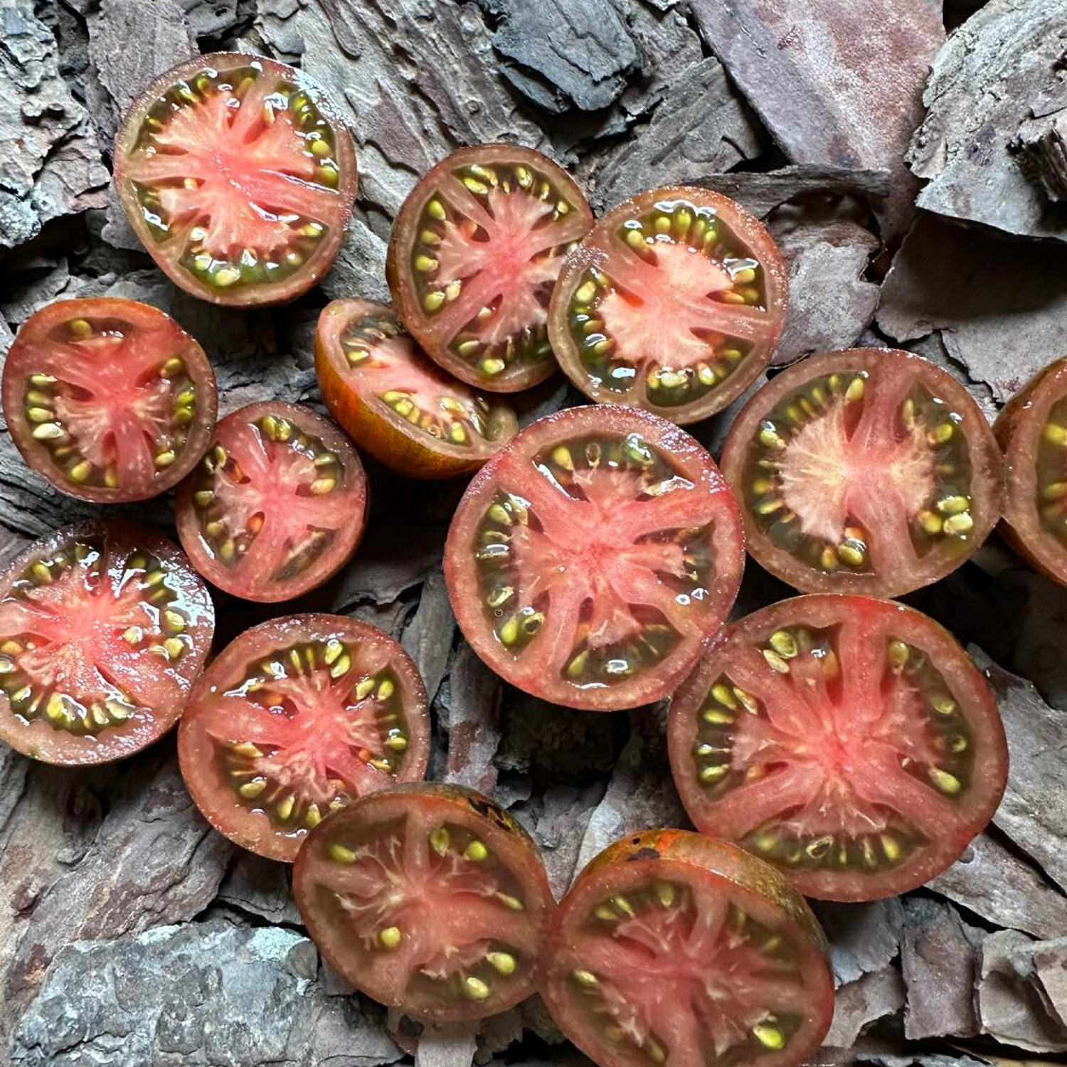 Cherry Tomato Seeds - Cosmic Eclipse