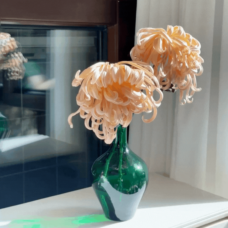 Large-flowered Chrysanthemum