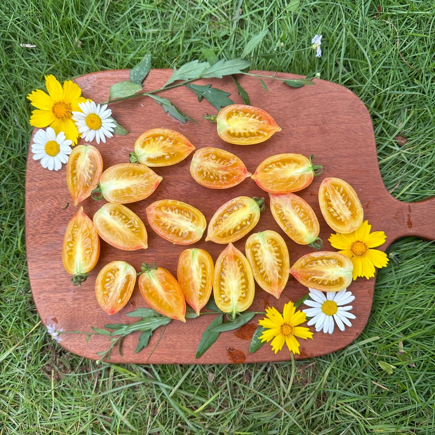 Heirloom Tomato Seeds - Sweet Icicle