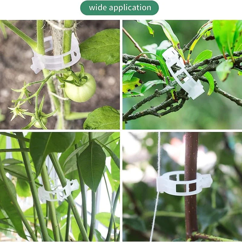 100 Pcs Plant Support Clips