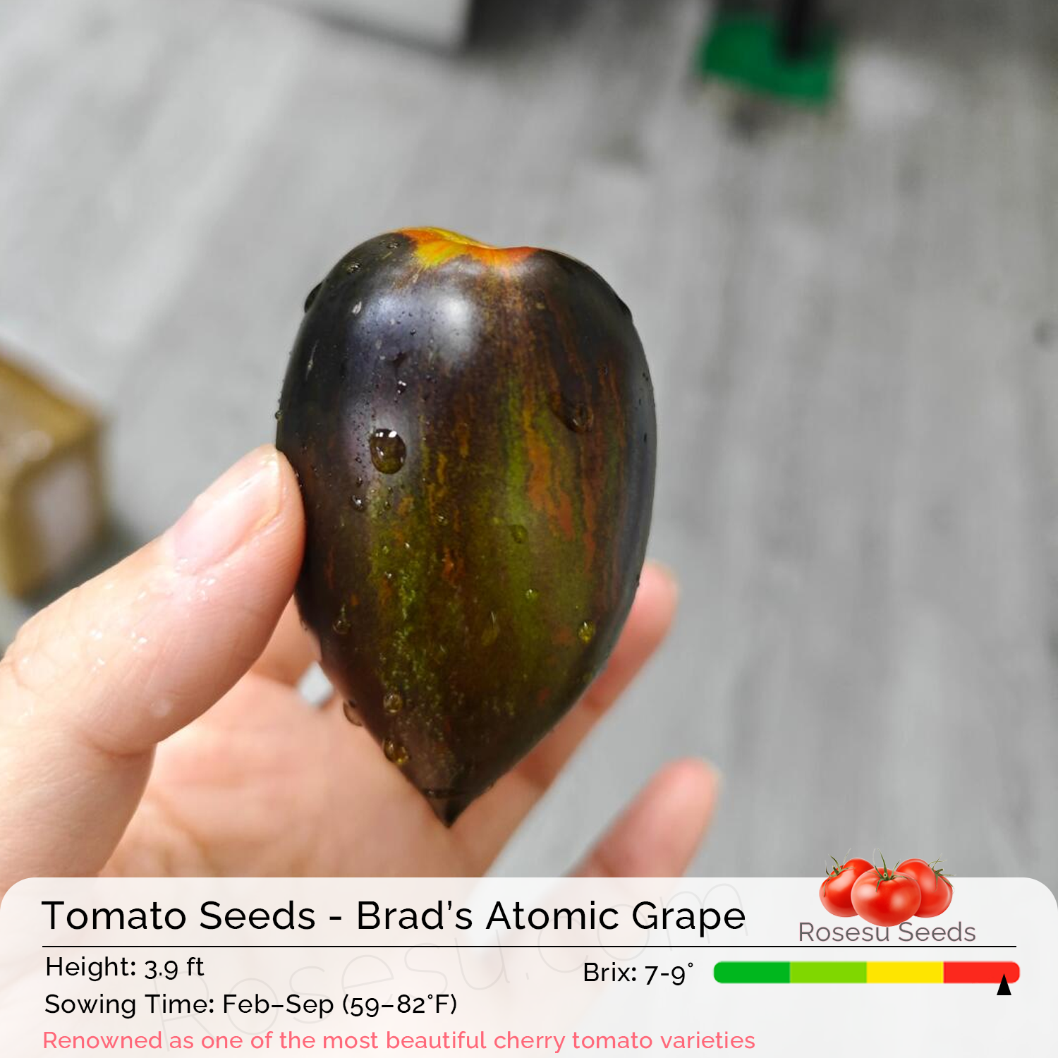 Cherry Tomato Seeds - Brad’s Atomic Grape