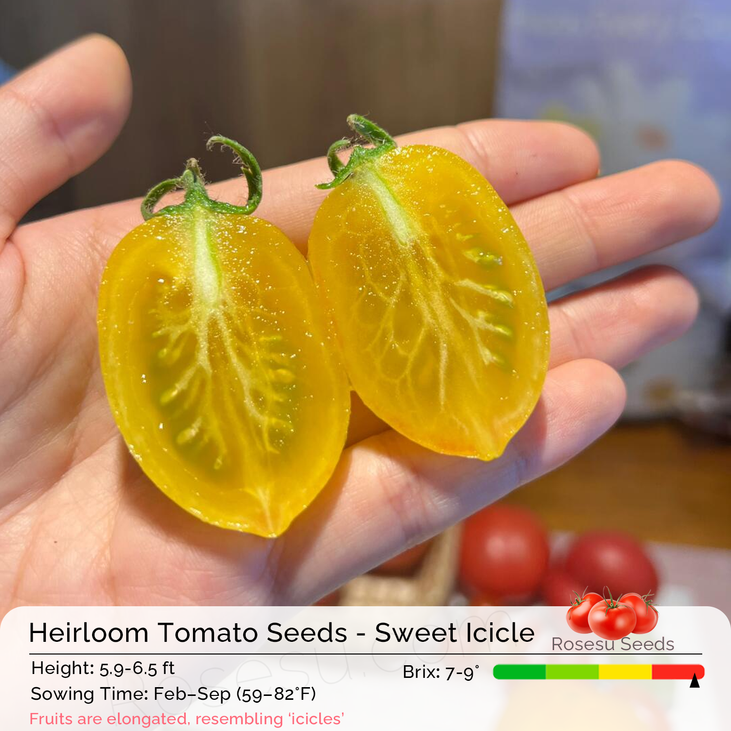 Heirloom Tomato Seeds - Sweet Icicle