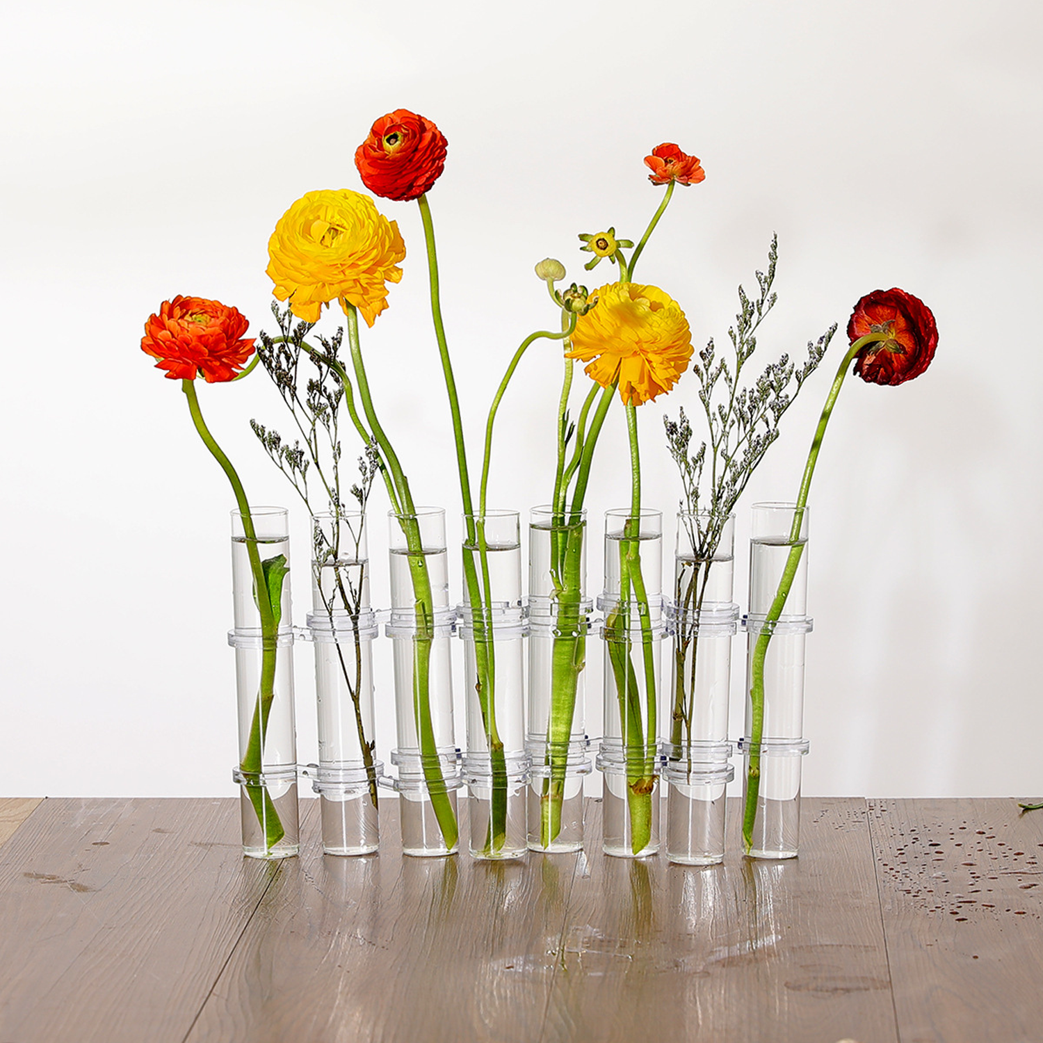 6/8 Test Tubes Flower Vases Plant Display Holder, DIY Shapeshifting Glass Test Cylinder Vase Kit