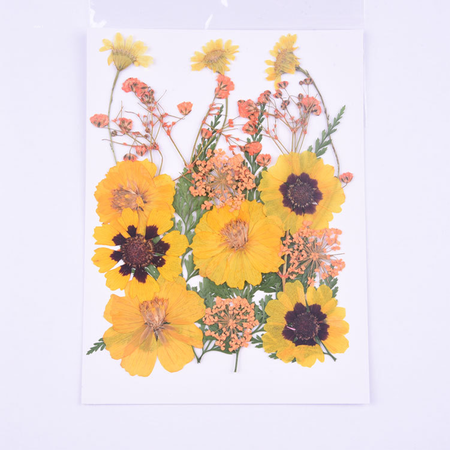 Mixed Embossed Dried Flower Material Package For Diy Mobile Phone Case/Photo Frame Decoration/Handmade Bookmark/Table Lamp