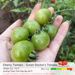 Cherry Tomato Seeds - Green Doctor’s Tomato