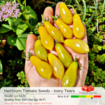 Heirloom Tomato Seeds - Ivory Tears