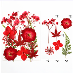 Mixed Embossed Dried Flower Material Package For Diy Mobile Phone Case/Photo Frame Decoration/Handmade Bookmark/Table Lamp