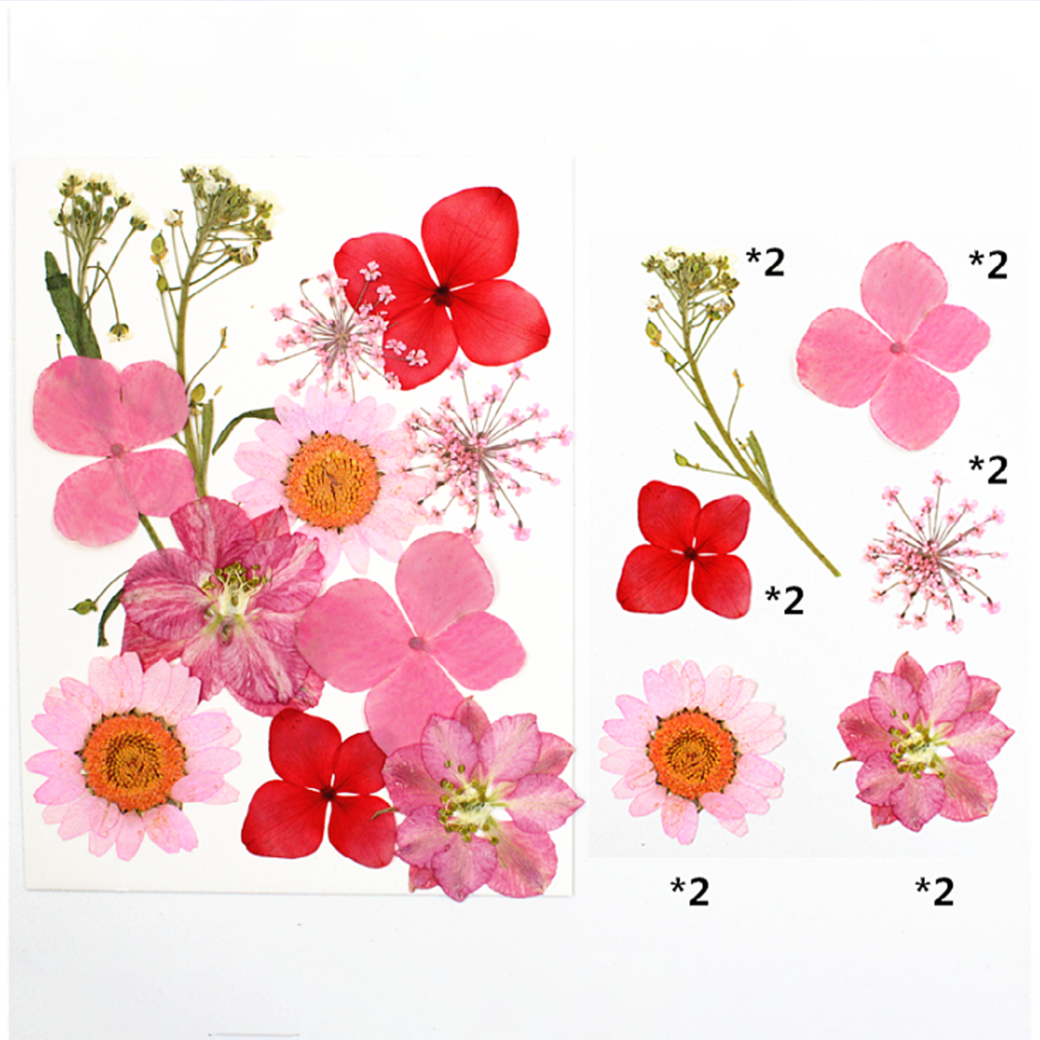 Mixed Embossed Dried Flower Material Package For Diy Mobile Phone Case/Photo Frame Decoration/Handmade Bookmark/Table Lamp