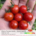 Cherry Tomato Seeds - Sweet Aperitif