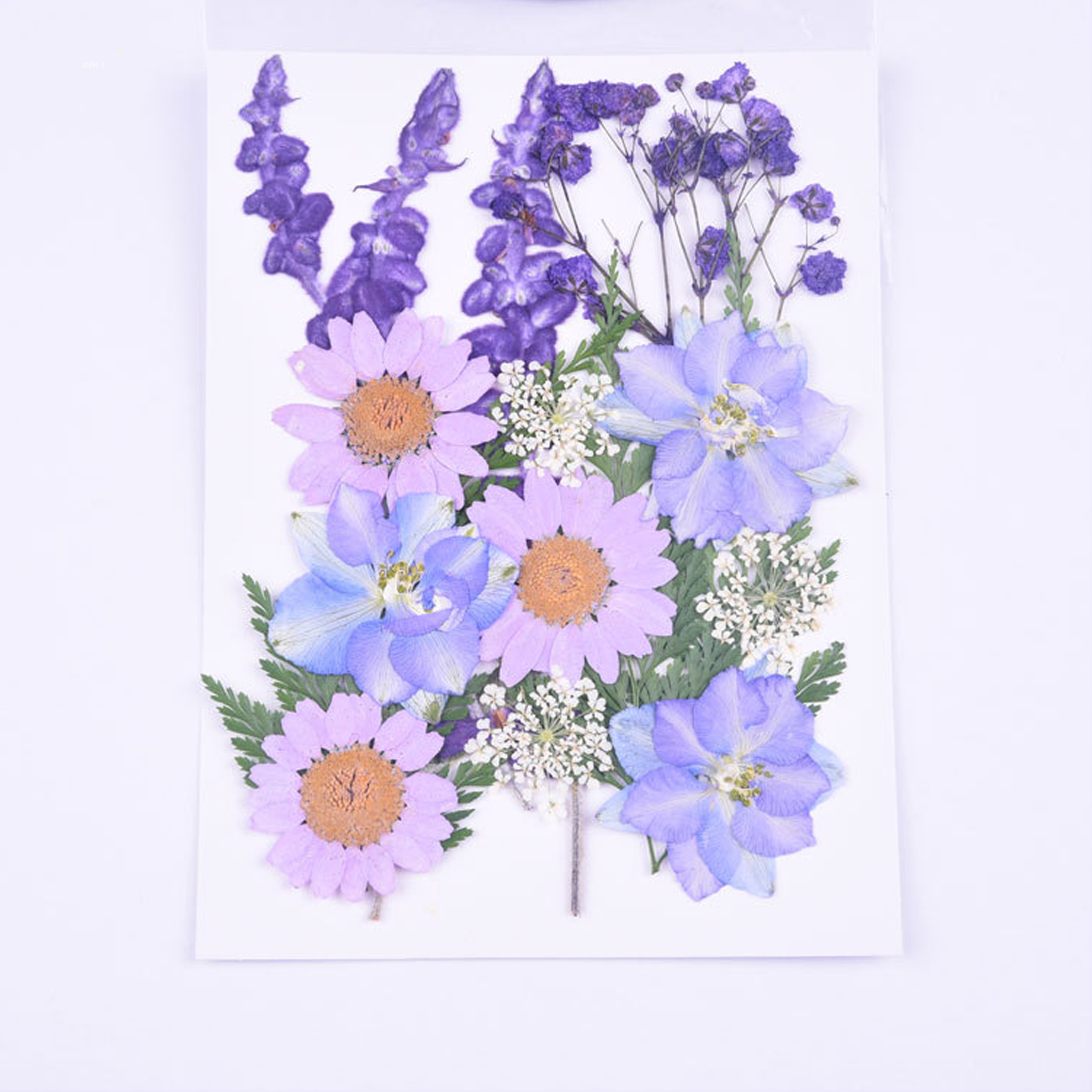 Mixed Embossed Dried Flower Material Package For Diy Mobile Phone Case/Photo Frame Decoration/Handmade Bookmark/Table Lamp