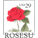 Navigate back to ROSESU homepage