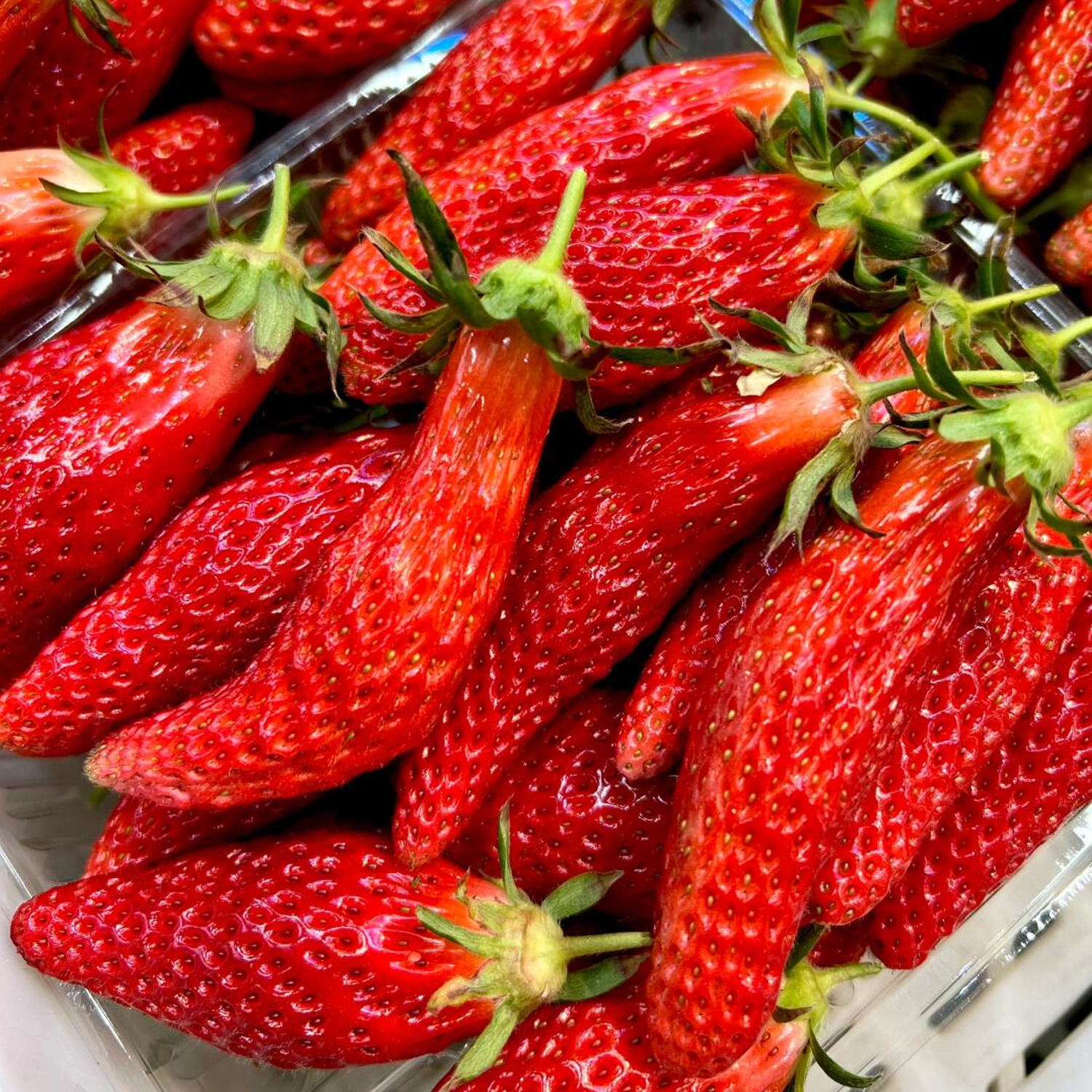 Rare Pepper Strawberry Seeds