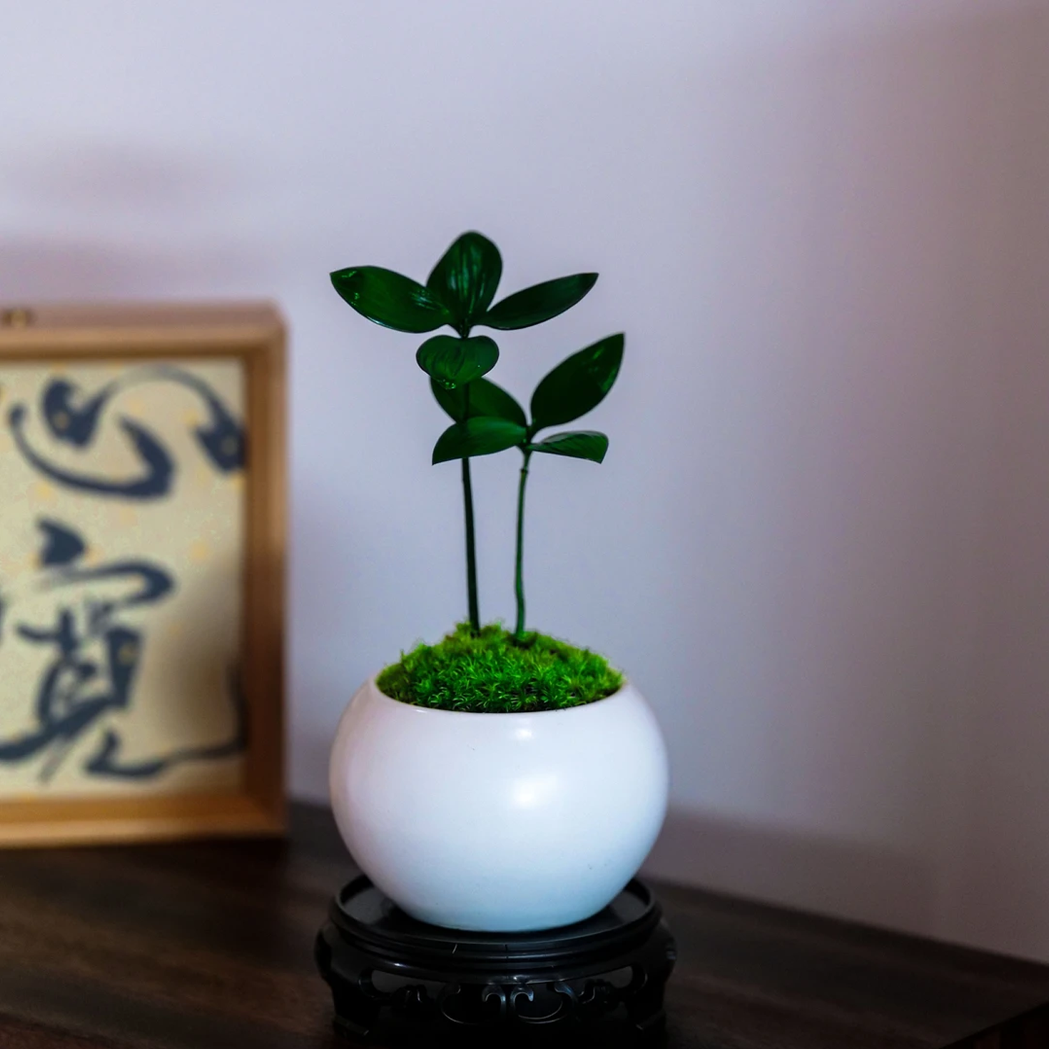 Desktop Micro Landscape - Green Moss & Evergreen Four-Leaf Clover