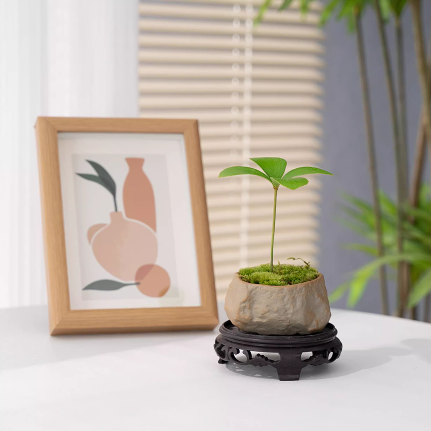 Desktop Micro Landscape - Evergreen Four-Leaf Clover