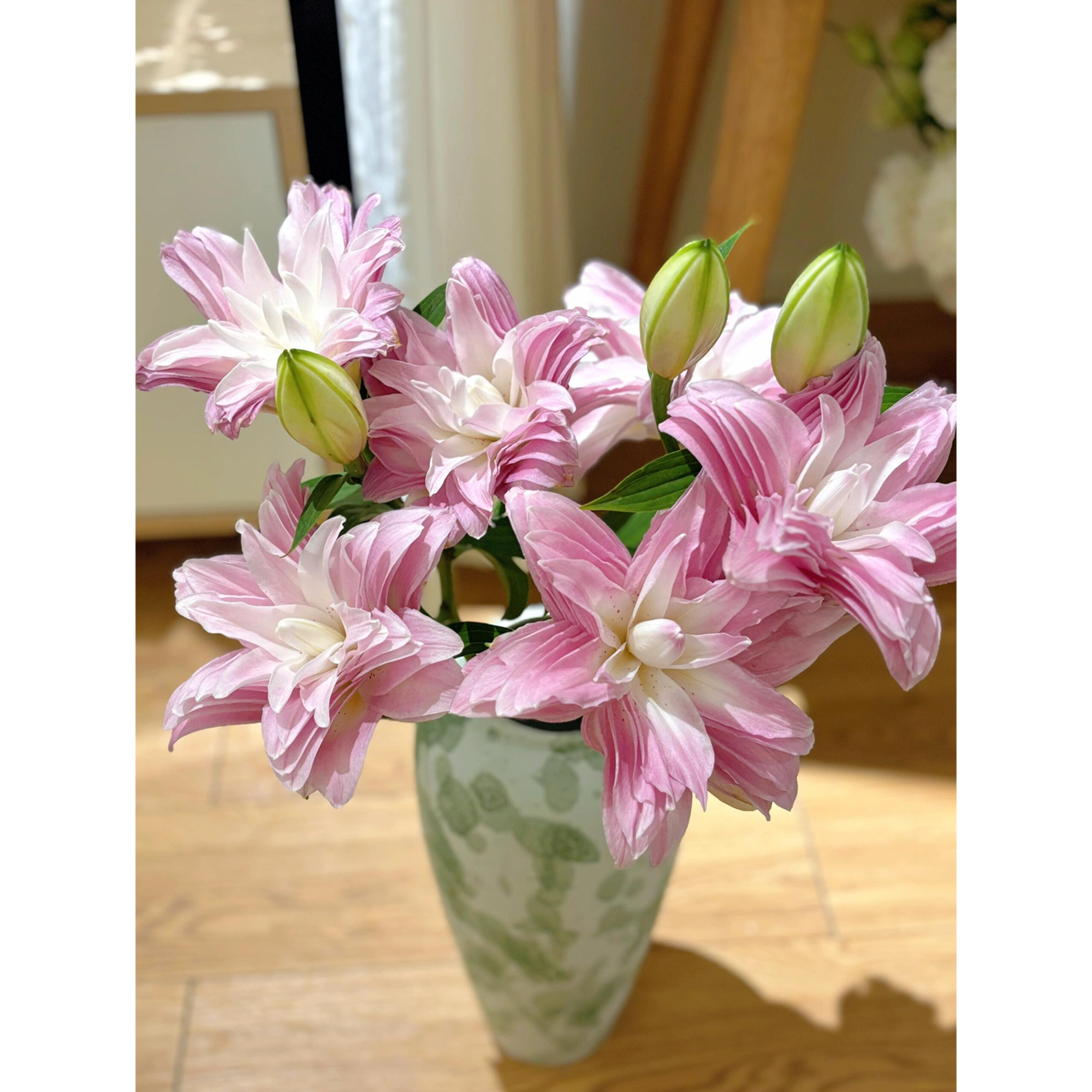 Lily Bulbs - Lotus Wonder