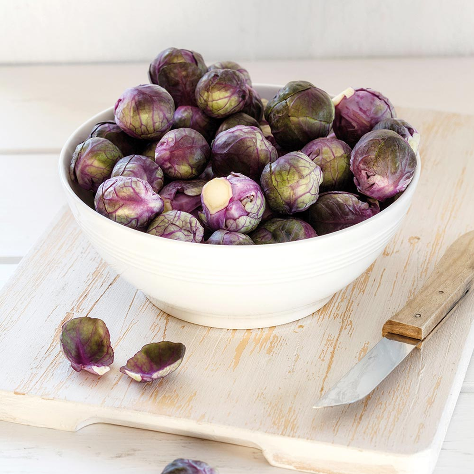 Organic Purple Brussels Sprout Seeds