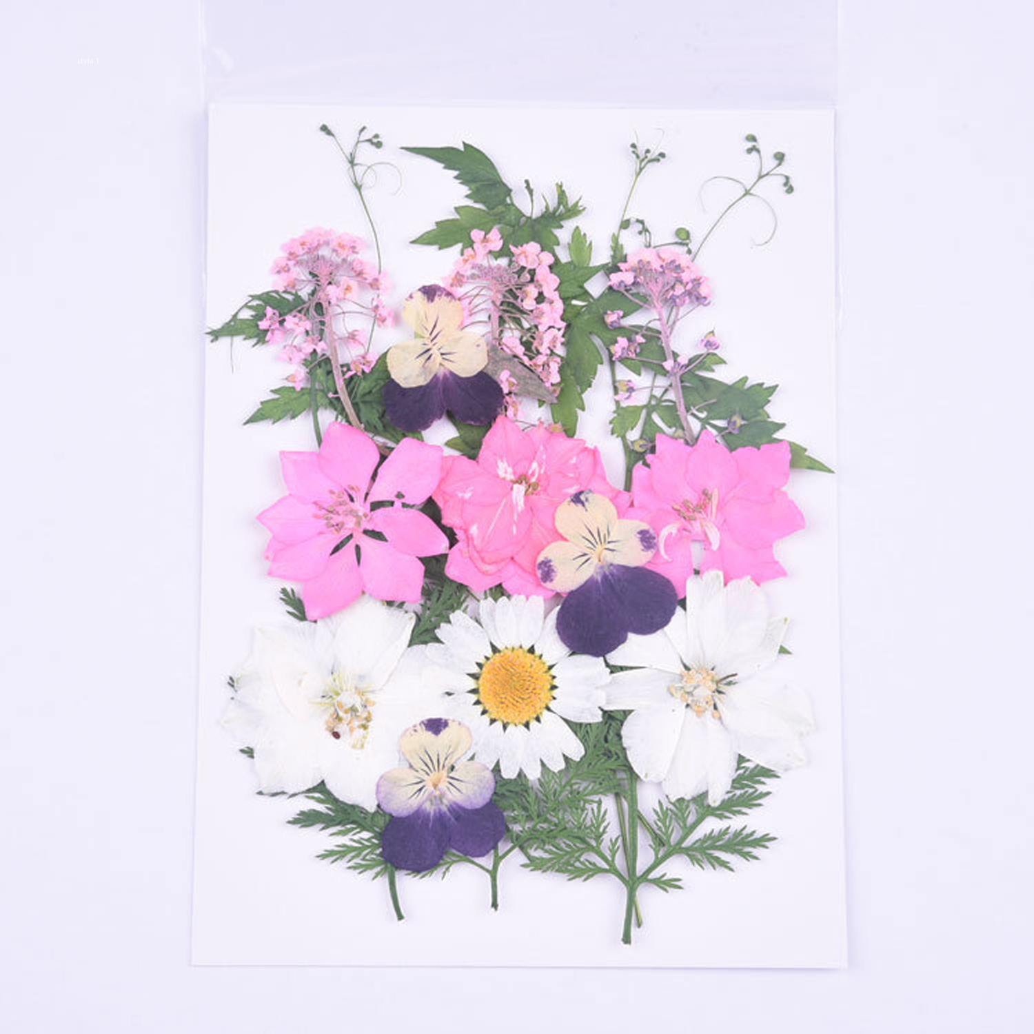 Mixed Embossed Dried Flower Material Package For Diy Mobile Phone Case/Photo Frame Decoration/Handmade Bookmark/Table Lamp