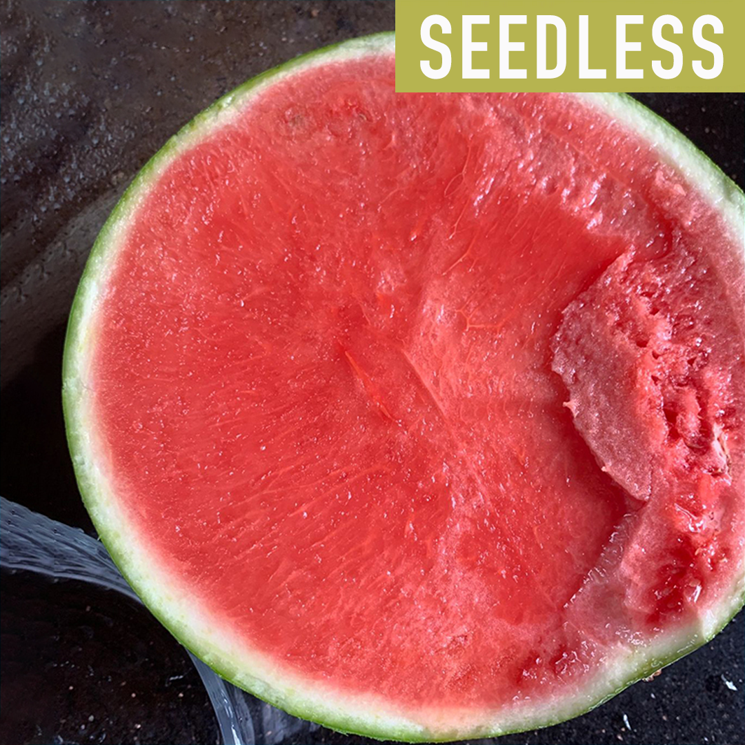 Watermelon Seeds - Seedless 8424