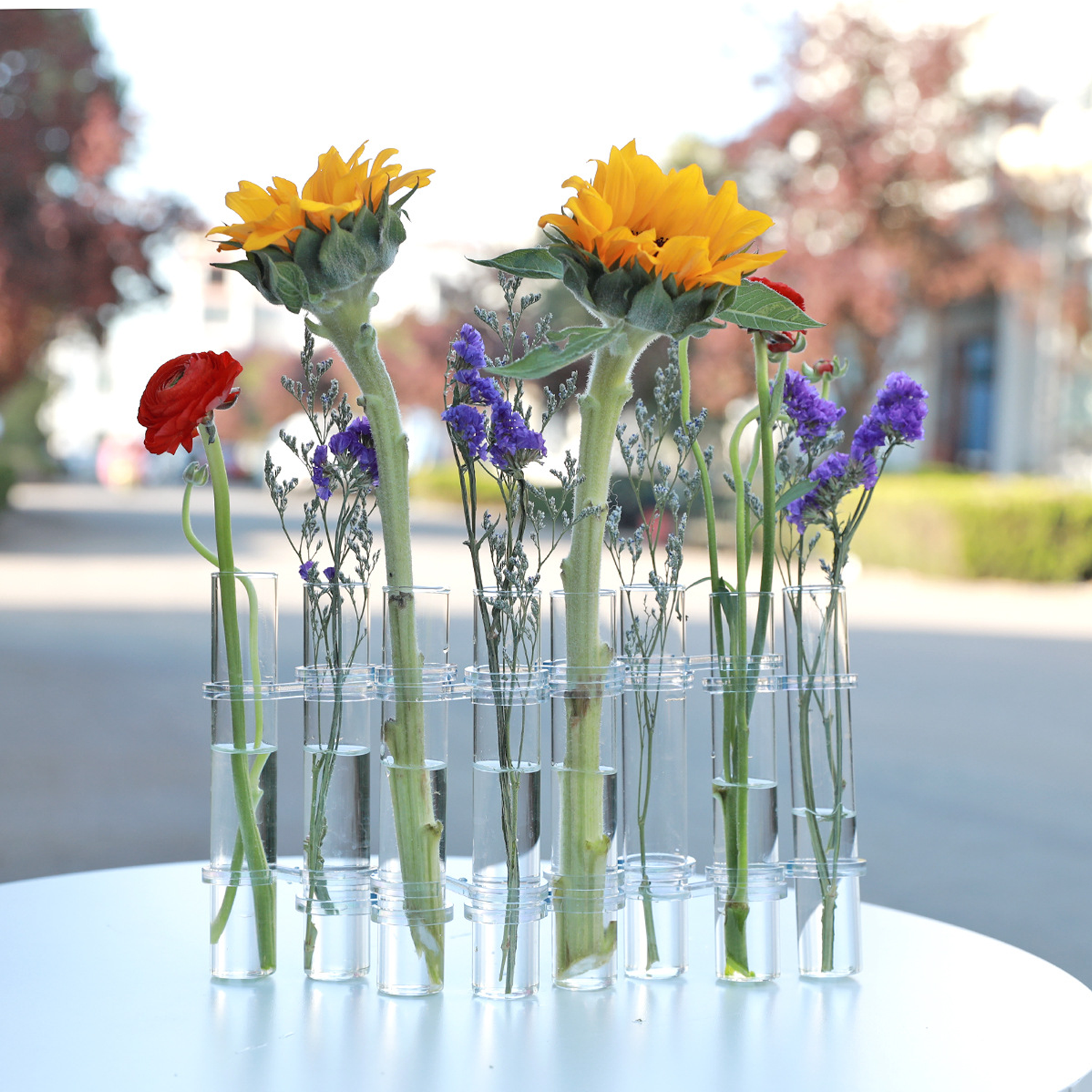 6/8 Test Tubes Flower Vases Plant Display Holder, DIY Shapeshifting Glass Test Cylinder Vase Kit