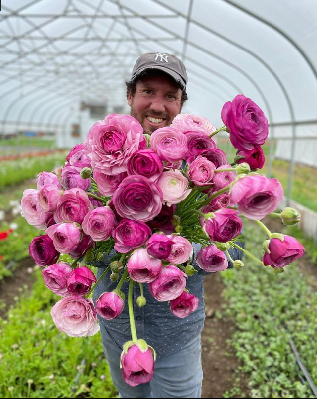 Ranunculus Bulbs