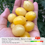 Cherry Tomato Seeds - Barry's Crazy