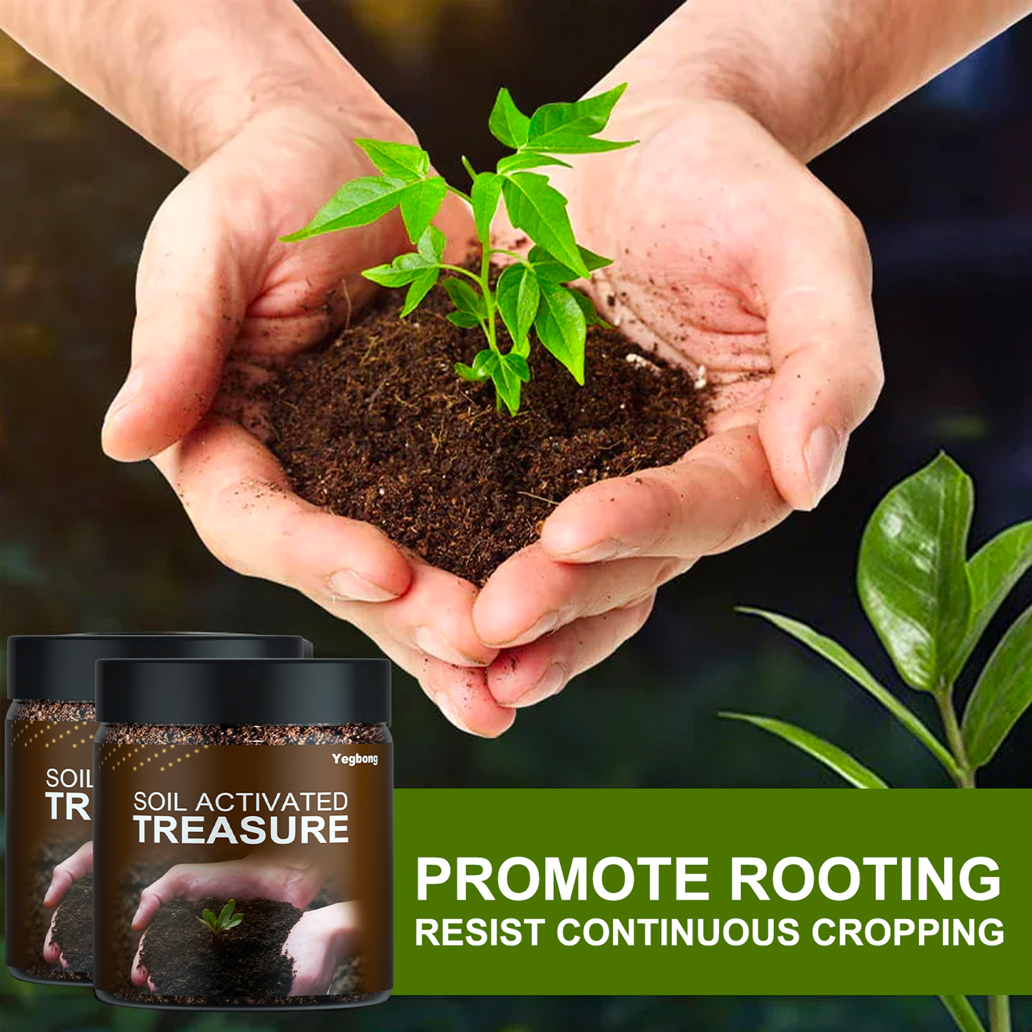 100g Soil Activated Treasure/Organic Soil Conditioner/Soil Activator