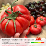 Beefsteak Tomato Seeds - Abe Lincoln