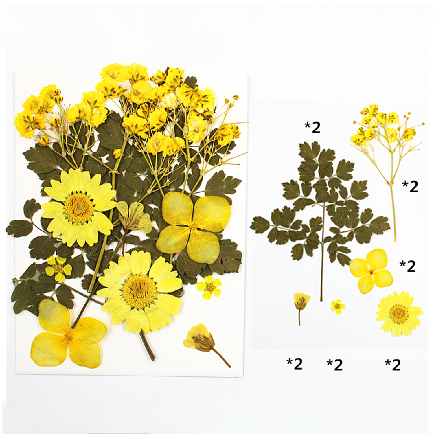 Mixed Embossed Dried Flower Material Package For Diy Mobile Phone Case/Photo Frame Decoration/Handmade Bookmark/Table Lamp